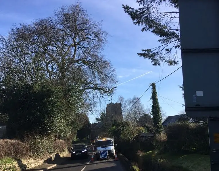 Tree surgeons in sparkford